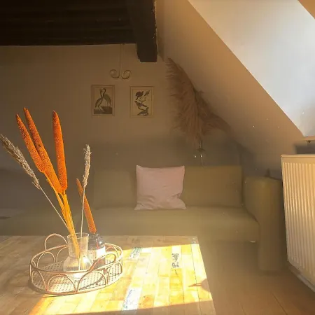 Apartment L'ecrin In Neuvice - And Full Of Charm *