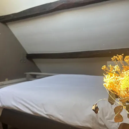 L'ecrin In Neuvice - And Full Of Charm Apartment