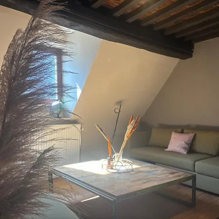 L'ecrin In Neuvice - And Full Of Charm Apartment