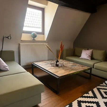 L'ecrin In Neuvice - And Full Of Charm Διαμέρισμα Λιέγη