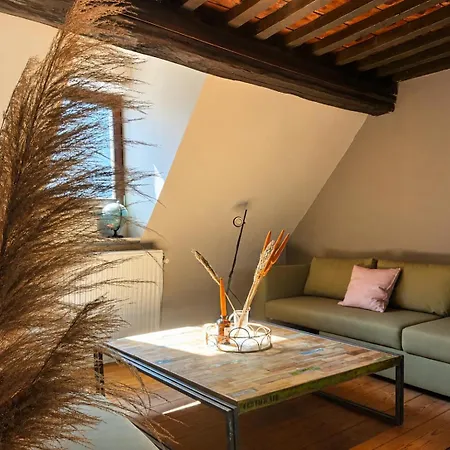 L'ecrin In Neuvice - And Full Of Charm Διαμέρισμα *